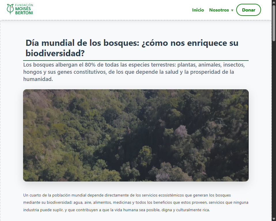 Día mundial de los bosques: ¿cómo nos enriquece su biodiversidad?