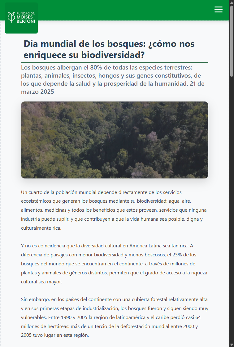 Día mundial de los bosques: ¿cómo nos enriquece su biodiversidad?