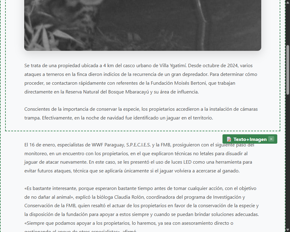 Un jaguar estará monitoreado para su supervivencia