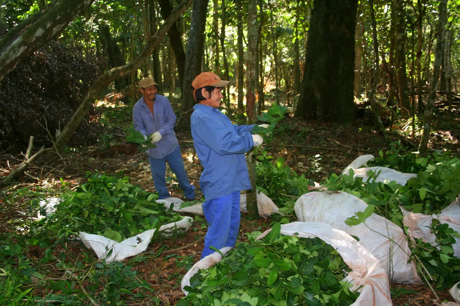 Desarrollo territorial FMB