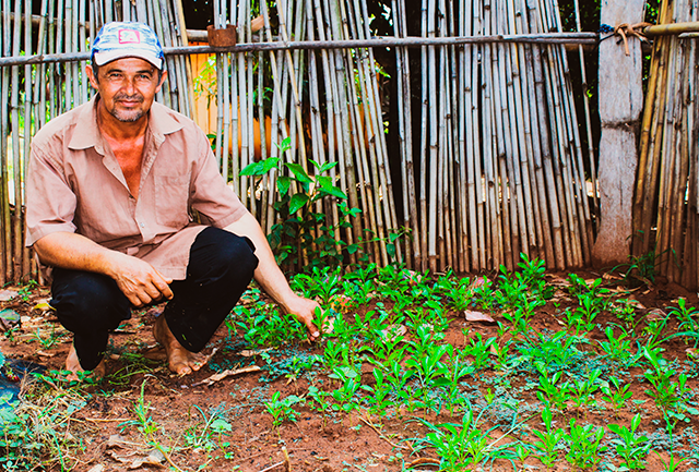 Fortalecimiento de producción de Petit grain