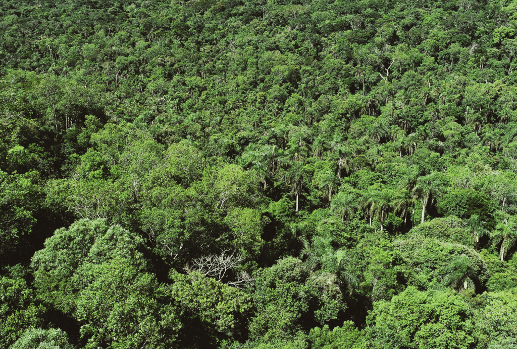 Manejo de la Reserva de Tapytá