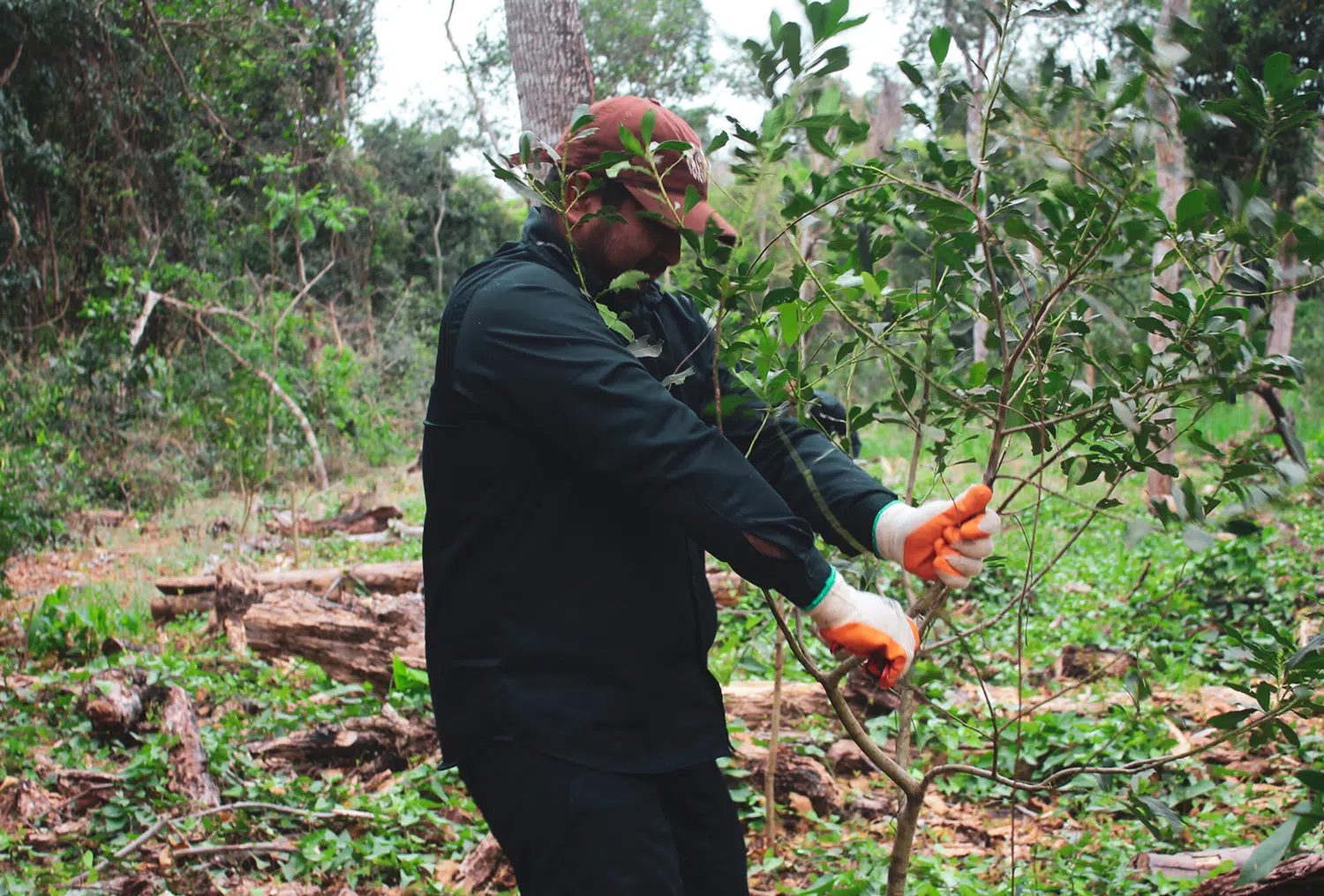 Unidos por el desarrollo sostenible