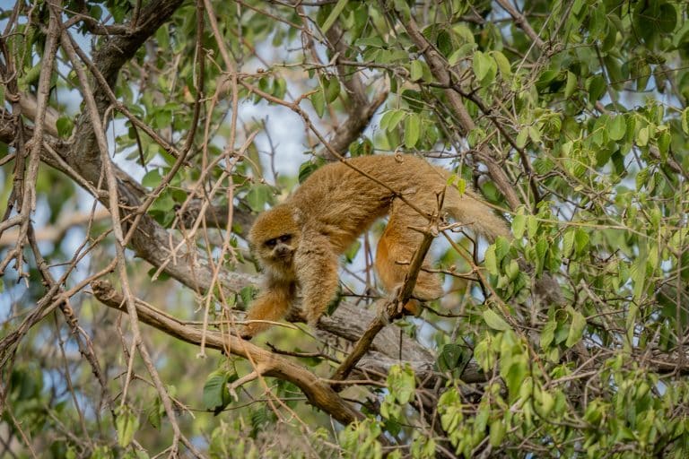 Modelos de producción sustentable