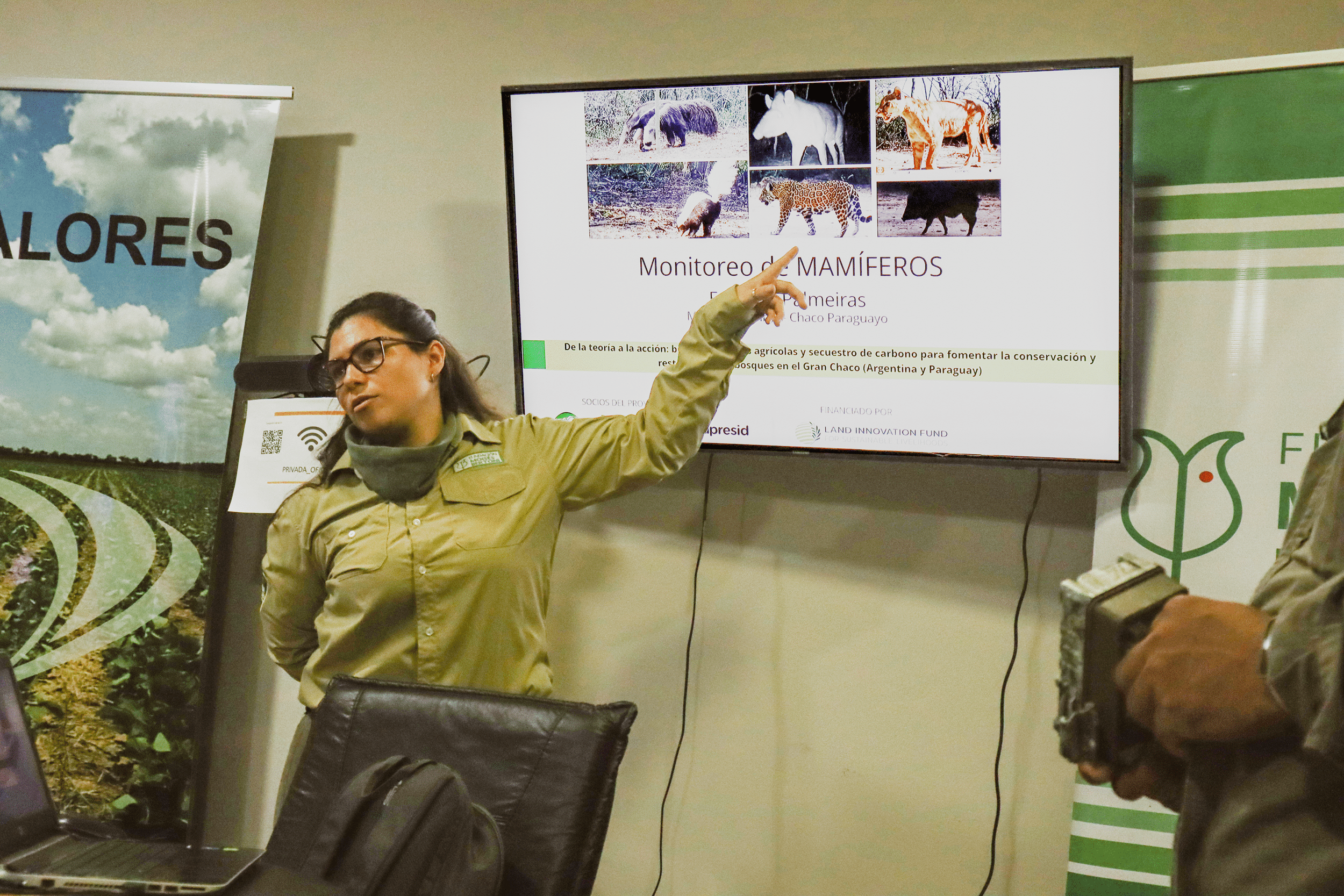 Investigación y conservación