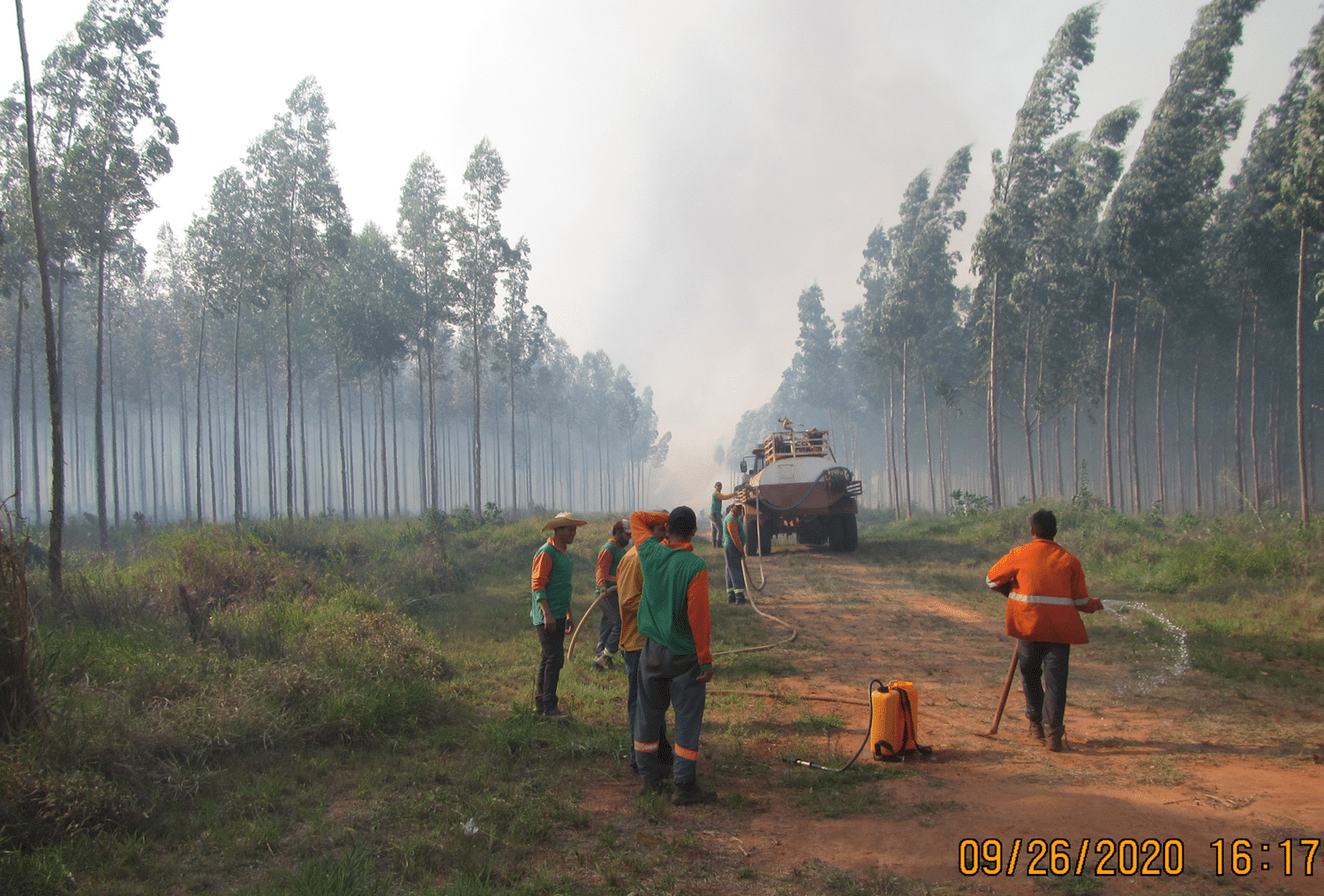 Plan de Restauración