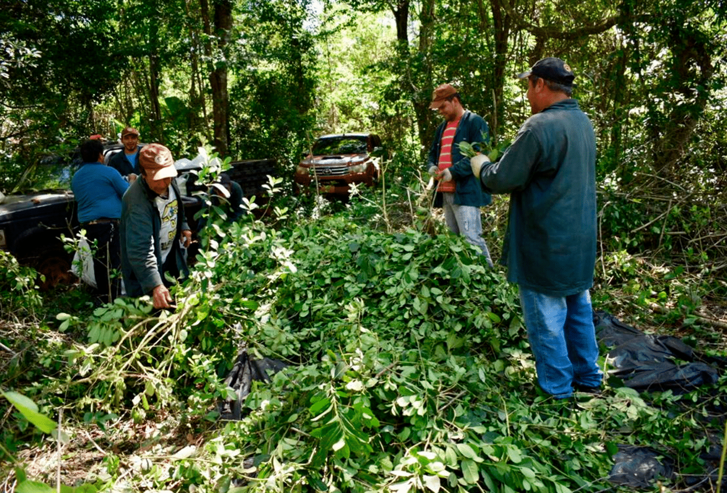 Protección del medio ambiente